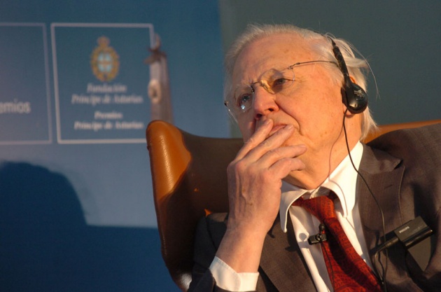 Los galardonados en los Premios Pr�ncipe de Asturias del a�o 2009