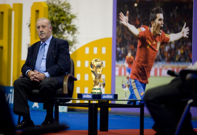 El seleccionador nacional particip� en un encuentro con numeroso p�blico en el Centro Deportivo Avil�s, en el que estuvo acompa�ado por los ex jugadores internacionales asturianos Marcelo Campanal, Eloy Alonso y Eloy Olaya, y el m�dico de la selecci�n espa�ola Oscar Celada.