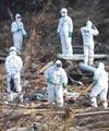 Los h�roes de Fukushima