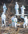 Los hroes de Fukushima